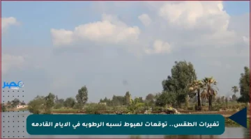 تغيرات الطقس.. توقعات لهبوط نسبة الرطوبة في الأيام القادمة